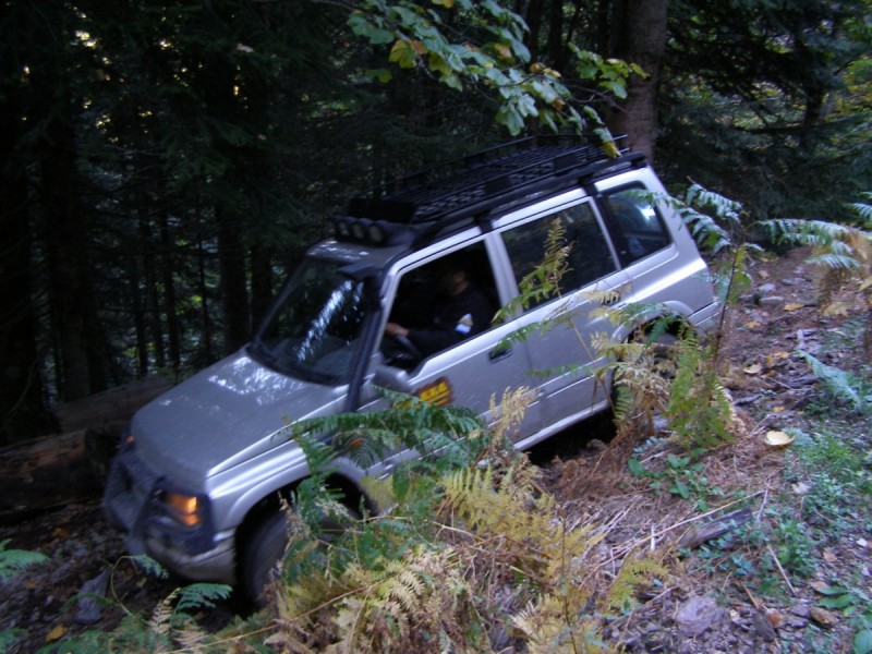 PA202780.jpg