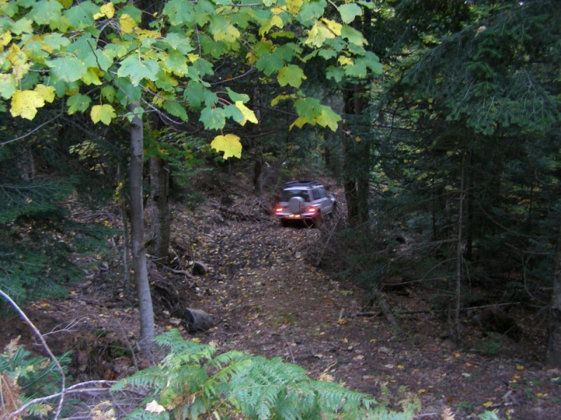 PA202783.jpg