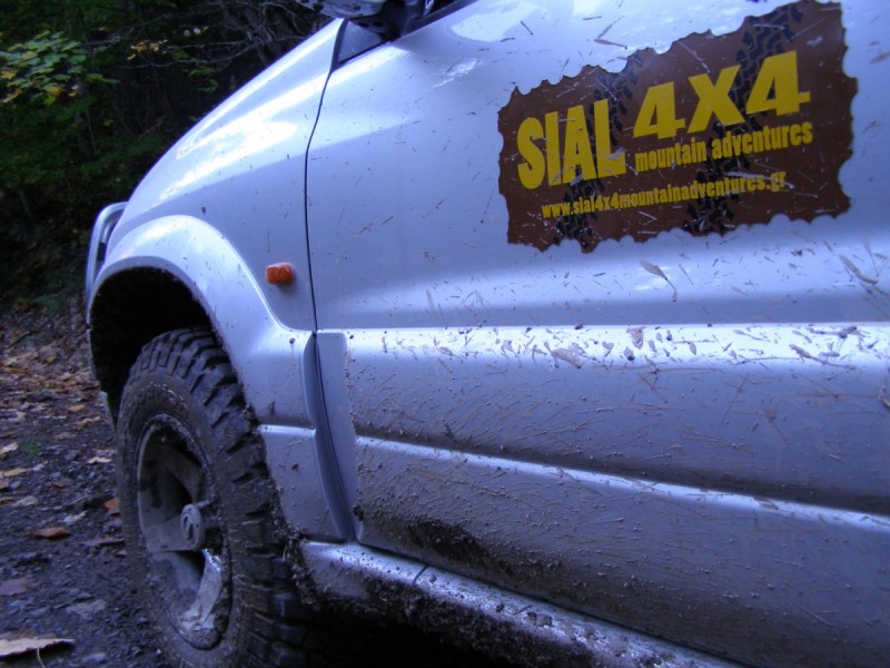 PA202784.jpg
