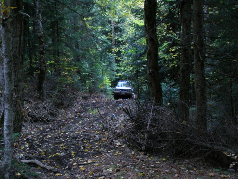 PA202788.jpg