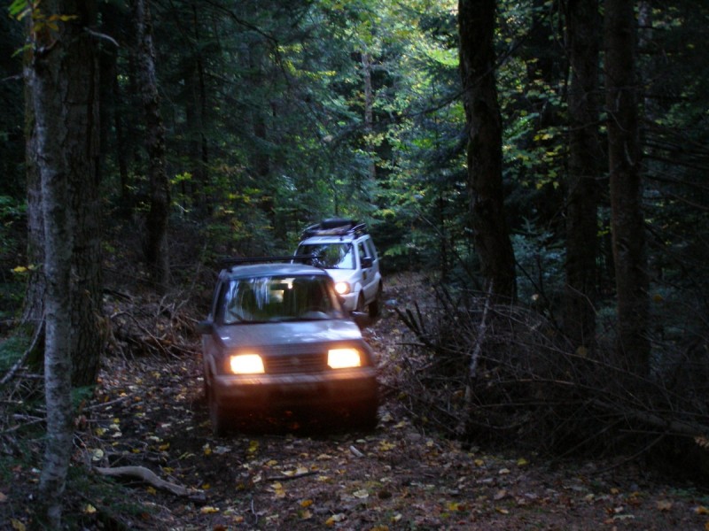 PA202792.jpg