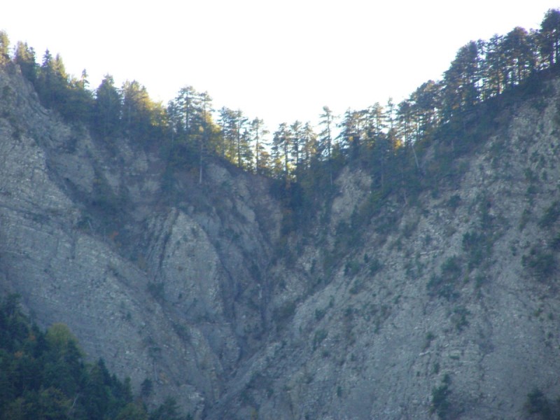 PA202796.jpg