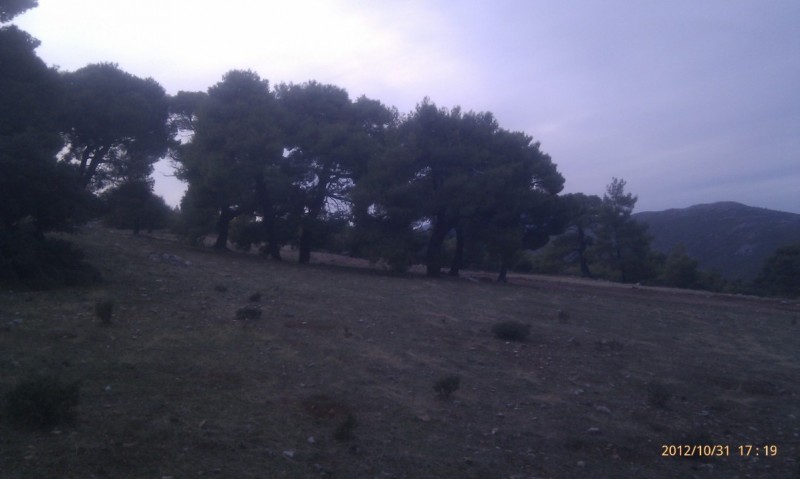 IMAG2506.jpg