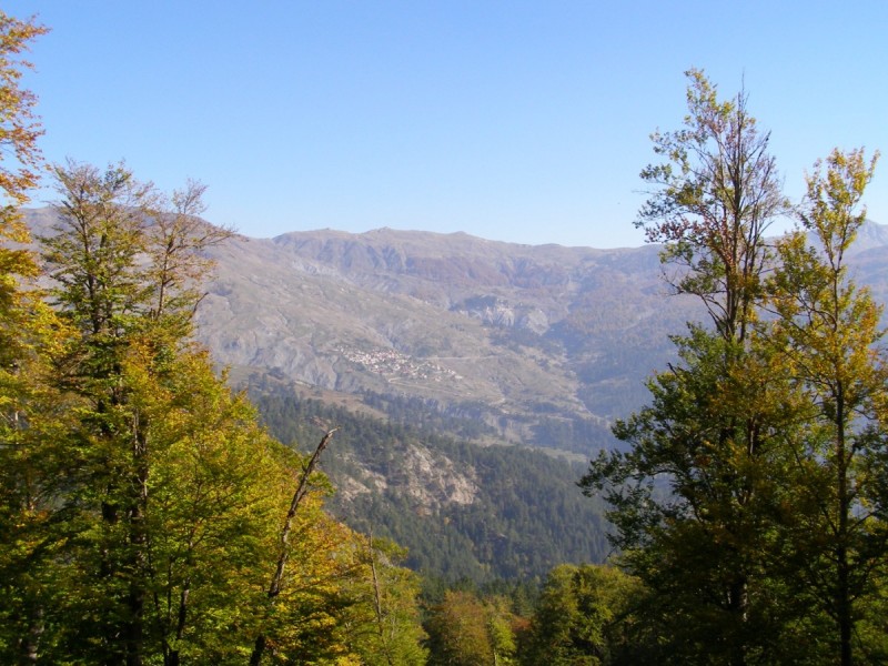 PA212818.jpg