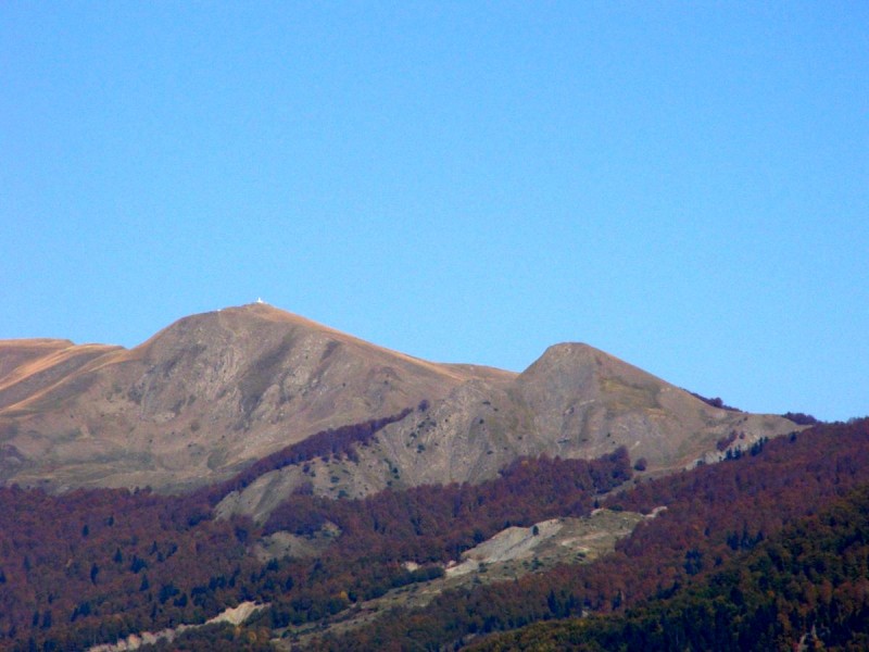 PA212829.jpg