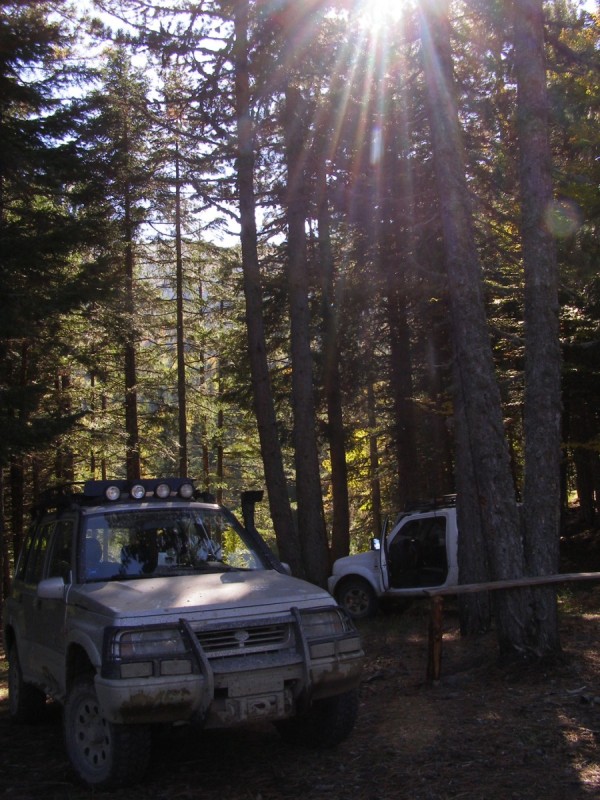 PA212832.jpg
