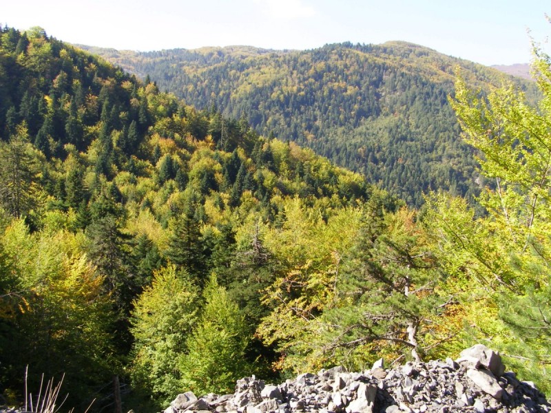 PA212837.jpg