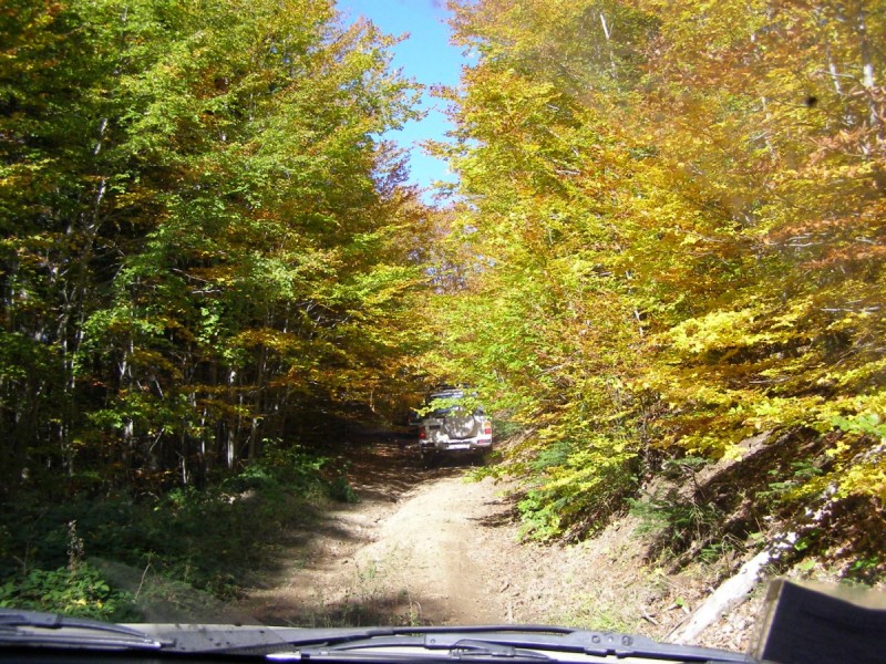 PA212839.jpg