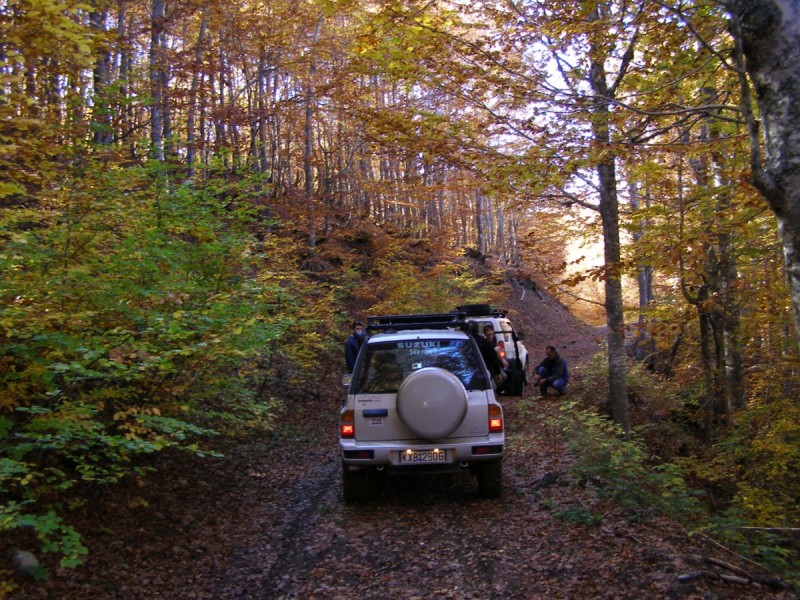 PA212851.jpg