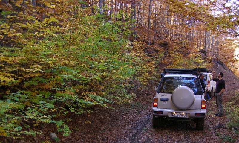 PA212852.jpg