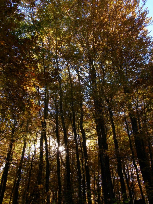 PA212854.jpg