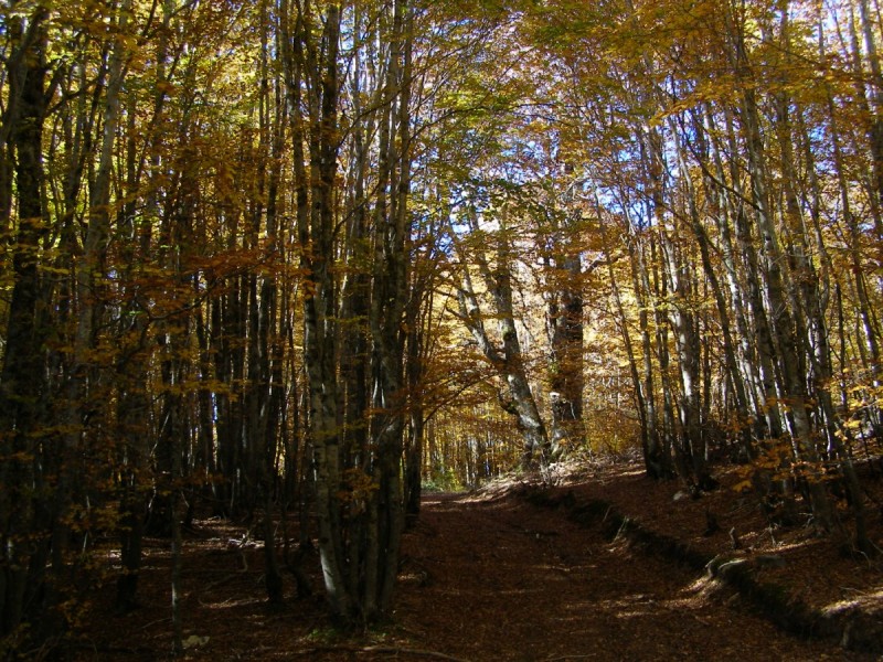 PA212857.jpg