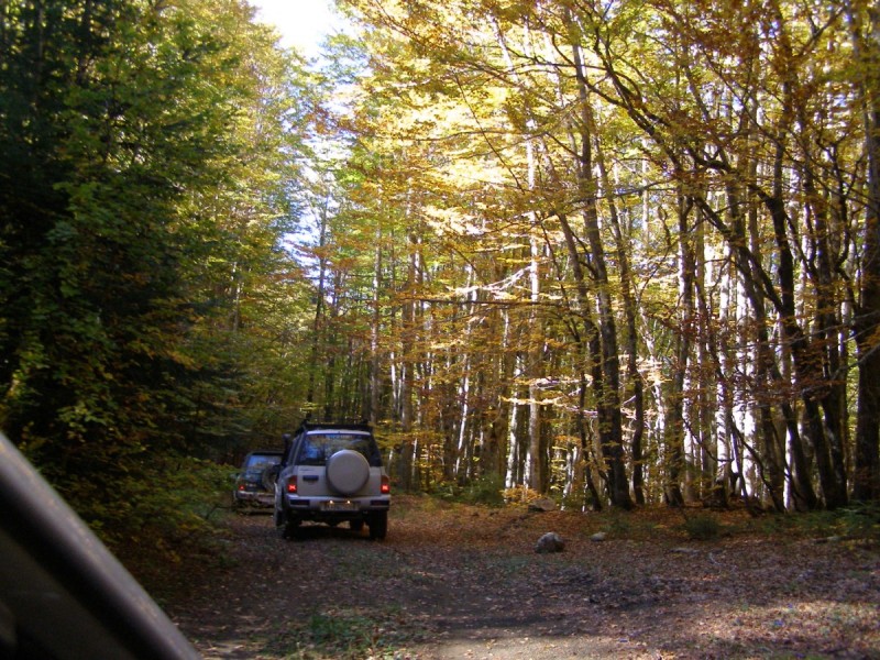 PA212862.jpg