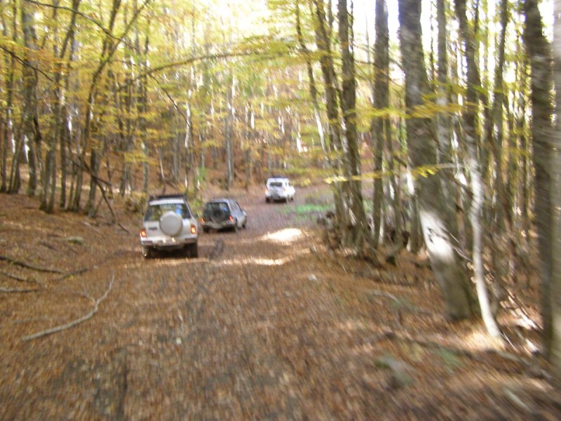PA212863.jpg