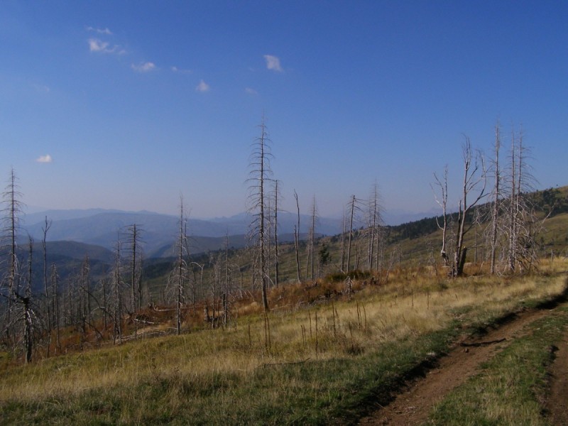 PA212868.jpg