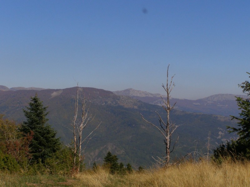 PA212875.jpg