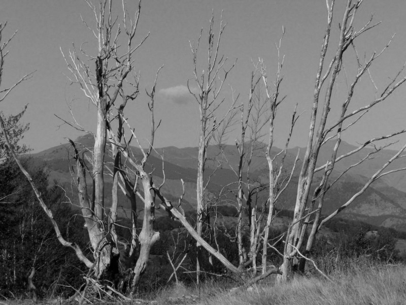 PA212877.jpg