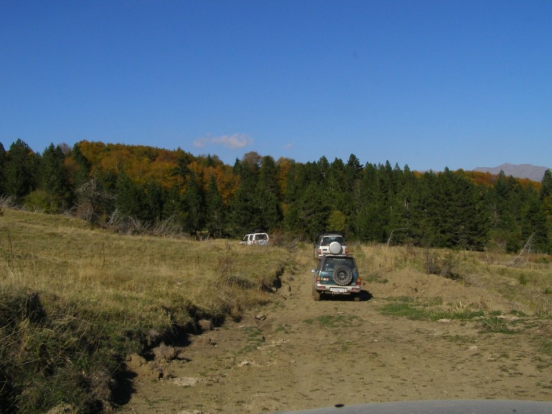 PA212881.jpg