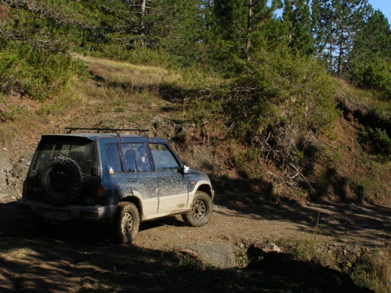 PA212885.jpg