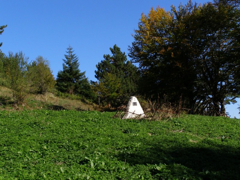 PA212887.jpg