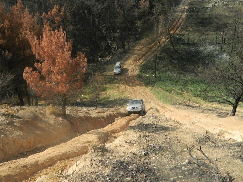 DSCN3717.JPG