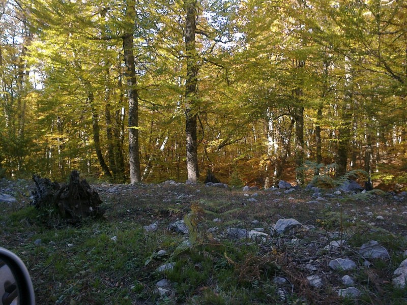 20102012222.jpg