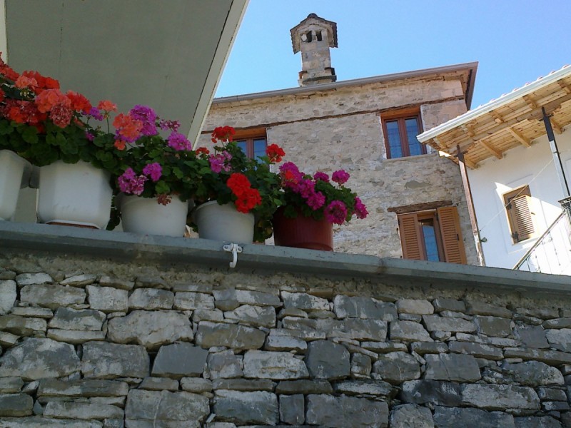 20102012250.jpg