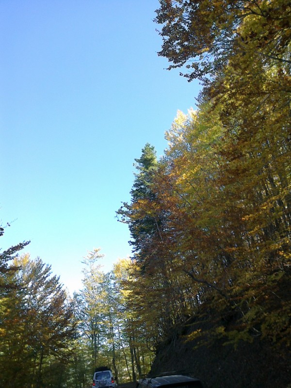 20102012258.jpg