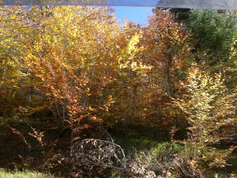 20102012262.jpg