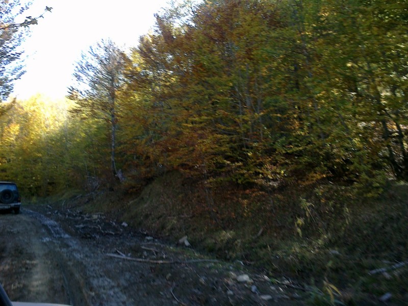 20102012265.jpg