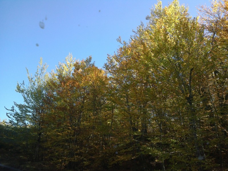 20102012266.jpg