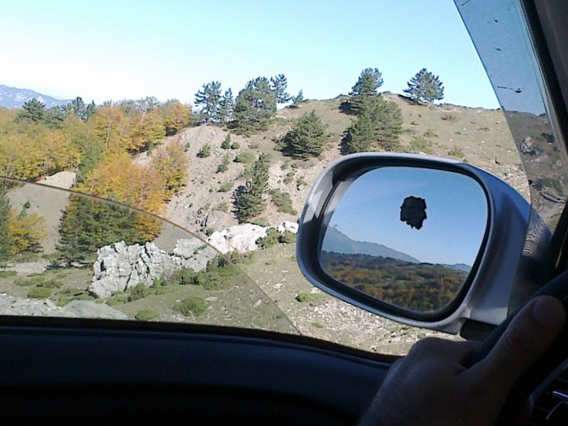 20102012267.jpg