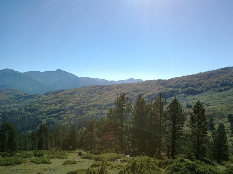 20102012269.jpg