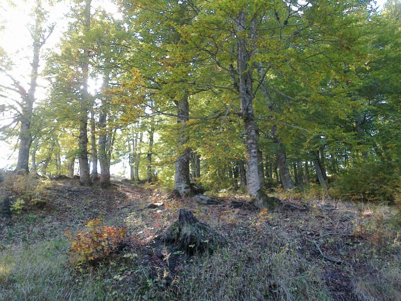 21102012283.jpg
