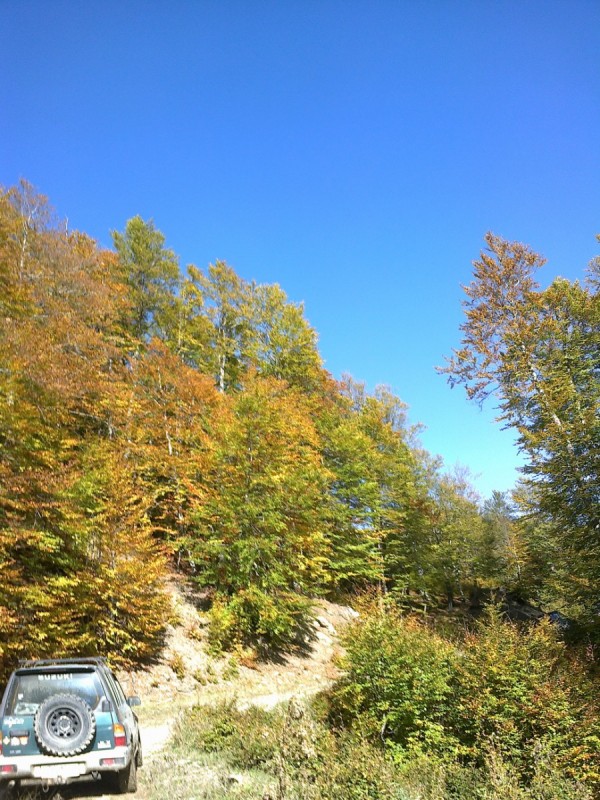 21102012285.jpg