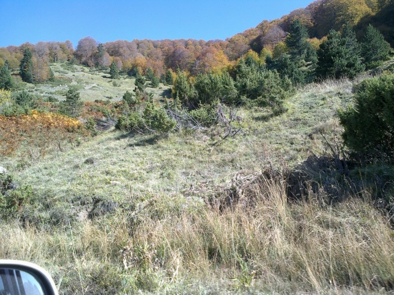 21102012291.jpg
