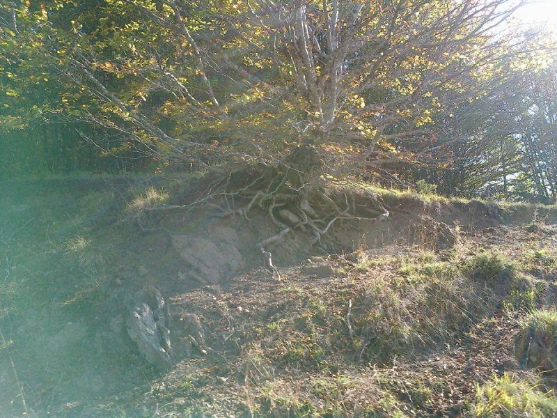 21102012292.jpg