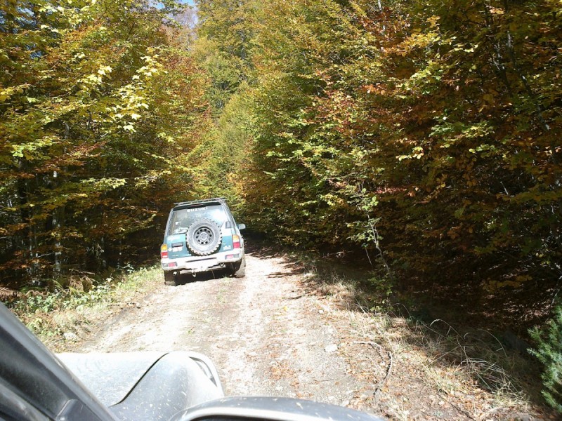 21102012295.jpg