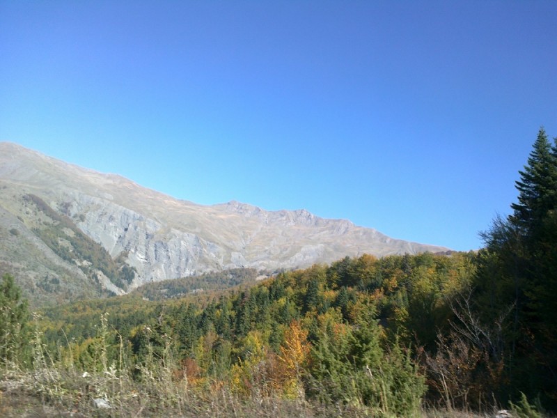 21102012302.jpg