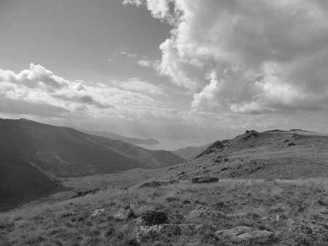 P1140131.JPG