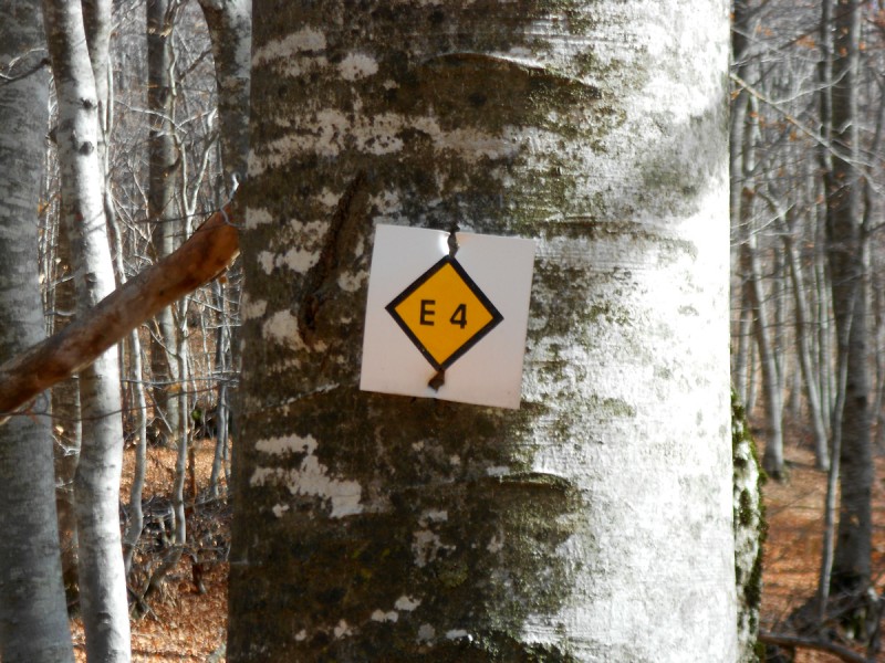 DSCN3366.JPG