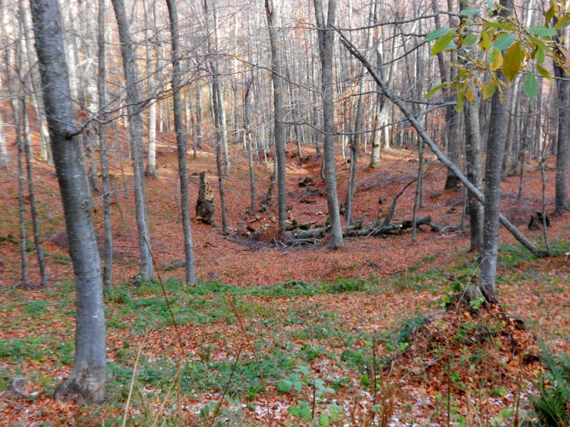 DSCN3363.JPG