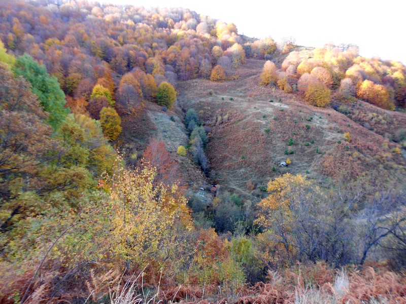 DSCN3333.JPG