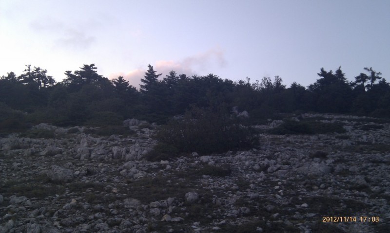 IMAG2672.jpg