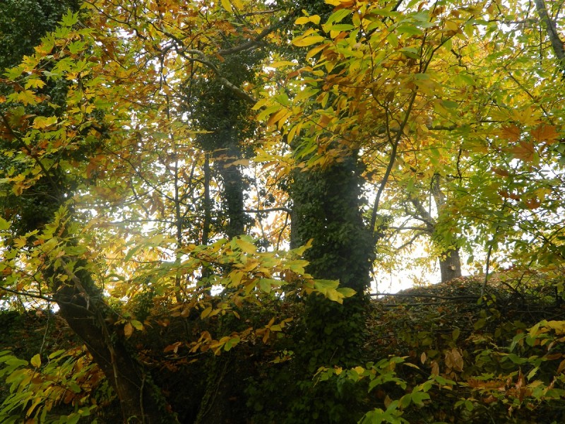 DSCN3800.JPG