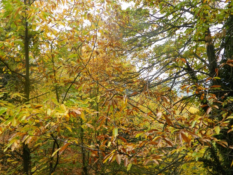 DSCN3801.JPG
