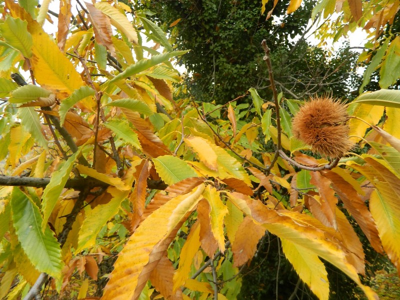 DSCN3802.JPG
