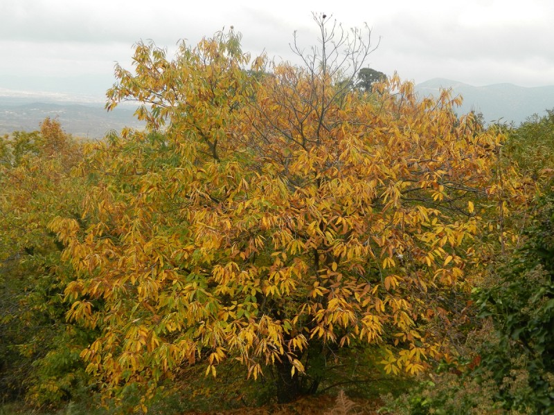 DSCN3804.JPG