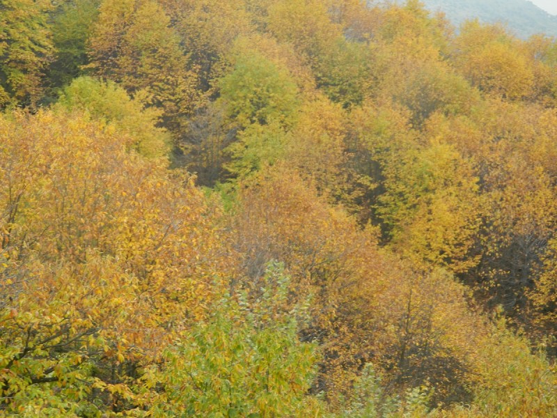 DSCN3806.JPG