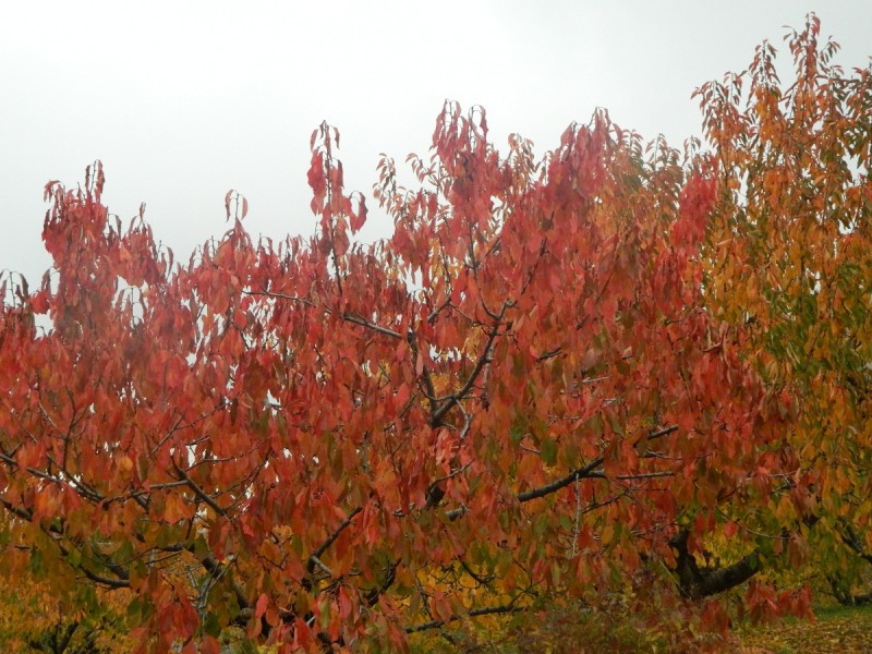 DSCN3808.JPG